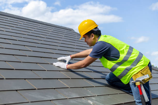 Best Roof Leak Repair  in Alamo, GA