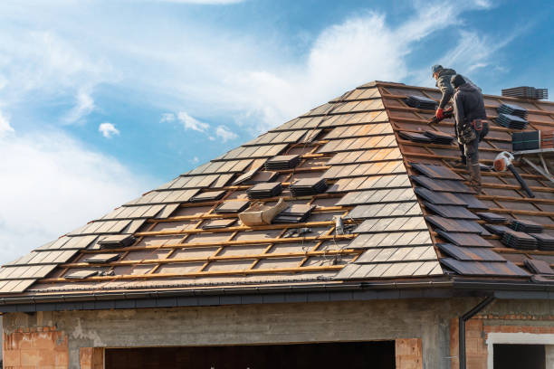 Best Roof Inspection  in Alamo, GA