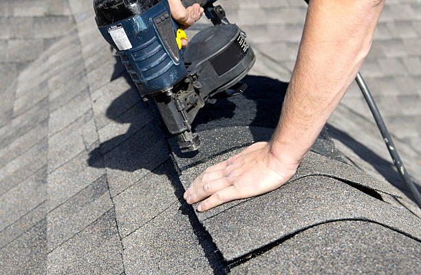 Best Storm Damage Roof Repair  in Alamo, GA